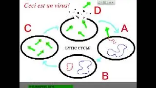 VirologyIntroduction_Stedman2019