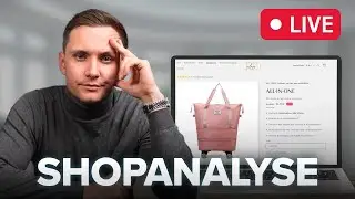 E-Commerce Experte analysiert Dropshipping Onlineshops
