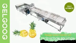 Pineapple Sauce Processing Line In Pineapple Processing Plant