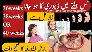 کس ہفتے میں ڈلیوری کا ہو جانا نارمل ہے Which week of pragnancy is normal for delivery 36,38,40 weeks