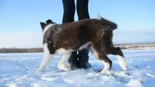 Эдарика 4месяца