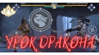 Мир Джун УРОК ДРАКОНА событие прохождение Shadow Fight 3