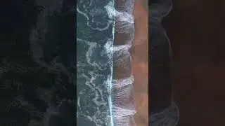 Nature Montage