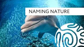 Naming Nature