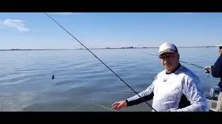 SIGUE LA PESCA A FULL. #pescadores #fishing #pejerrey #agua #laguna