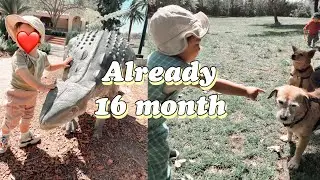 16 month old Baby update