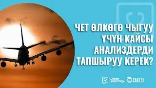 ЧЕТ ӨЛКӨГӨ ЧЫГУУ ҮЧҮН АНАЛИЗДЕР ТАПШЫРУУ КЕРЕКПИ?
