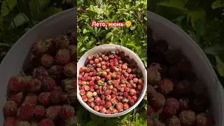 Поездка в деревню☺️ лето это загорать, купаться, рыбачить и кушать ягодки🍓