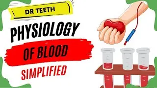 Blood Physiology