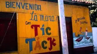 Llano green - Maldita Cantina