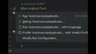 Run a unit test in IntelliJ