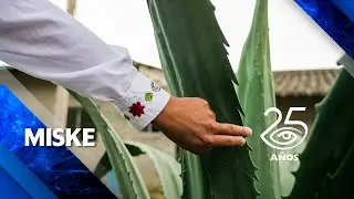 Miske - Día a Día - Teleamazonas