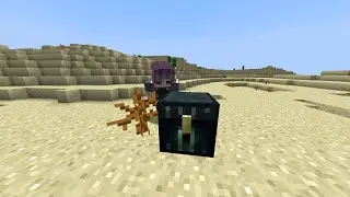 sticklings makes an 8th enderchest on the sticklings smp