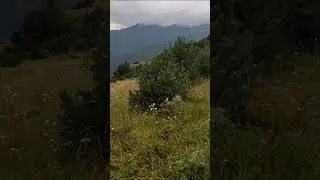 Верхний Згид