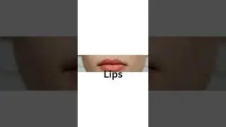 Learn 
