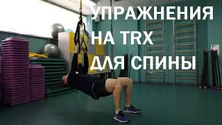 Хочешь широкую и рельефистую спину? TRX в помощь!