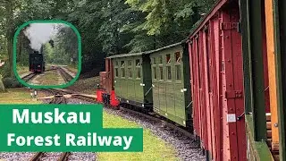 Muskau Forest Railway: Saxony's Heritage Trains | Waldeisenbahn Muskau | 4K