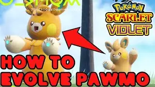 How to EVOLVE Pawmo into Pawmot in Pokemon Scarlet and Violet