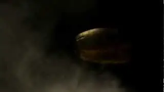 Intro "The Gost Hacker"