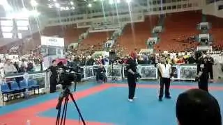 Кубок мира по Вин Чун 2015 в рамках олимпиады боевых искусств