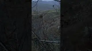Вакти шикор гурго омадан