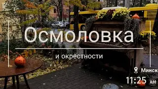 Осмоловка и окрестности