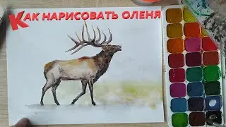 Как нарисовать оленя