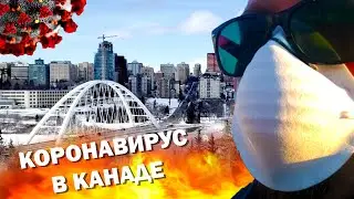 Коронавирус в Эдмонтоне, Канада