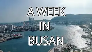 What To Do In Busan (see description for more) | My Journey In Korea| Maria Park