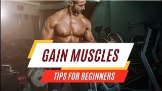 10 proven strategies to help you build a muscular body for beginners.