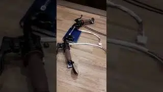 Клиппоны на моего бобра)