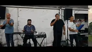 ZLATNE ZICE - Seka bratu dolazi na vrata 2019