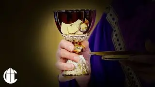 Catholic Mass Today: 12/2/25 | Tuesday of the First Week of Advent