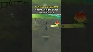 Your Last 1% in Sumeru 