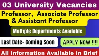 Assistant Professor Vacancy 2024 | 03 University Vacancies | Associate Professor | Professor |
