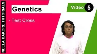 Test Cross in Genetics | Determine Genotype of Dominant Phenotype | NEET Class 12 | Neela Bakore