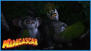 DreamWorks Madagascar | Tender Loving Thing | Madagascar Movie Clip