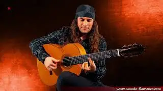 El Amir, Bulerías, Caminando por Jerez