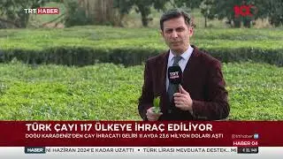 Çay İhracatında artış 21 Aralık 2023 Haber