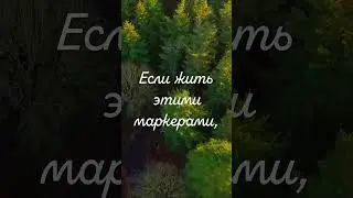 Перестань сравнивать #Осознанность #shorts #лайфхаки