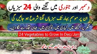 December & January 24 Vegetables To Grow At Home Garden | Grow Vegetables At Home In December & Jan