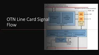 OTN Line card Signal Flow