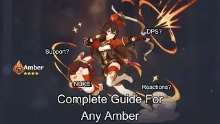 Complete Amber Guide For Any Build
