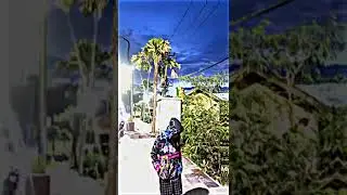 PRESET LAGU NTT SAYANG KO MATI TRA ADA YG LAIN LAGI VIRAL DI TIK TOK 2022