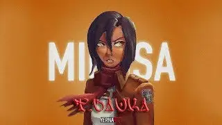 T Bauka - Mikasa