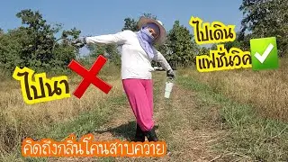 Ep.826 ไปนา ❎️ ไปเดินแฟชั่นวิค ✅️ คิดถึงกลิ่นโคนสาบควาย #แม่บ้านอีสาน