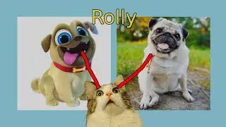 🐕🐶 Puppy Dog Pals Characters In Real Life 2022