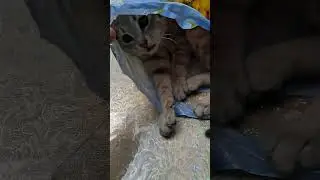 Самые любимые слова пророка Мухаммада (саллаллаху алейхи ва салам)...