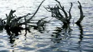 Driftwood ~ Justin Hayward