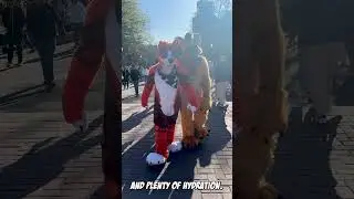 Tips For Fursuiting In Public - Must-know Advice!  #fursuit #shorts #furries #fursuiting